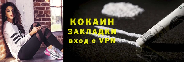 твердый Алексин