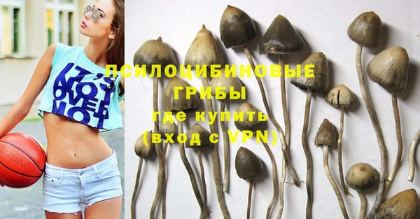 твердый Алексин