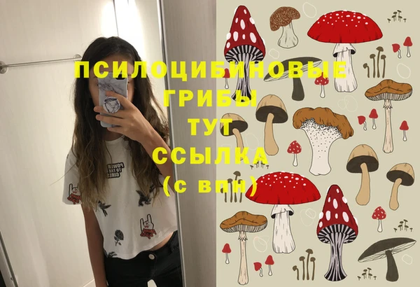 твердый Алексин